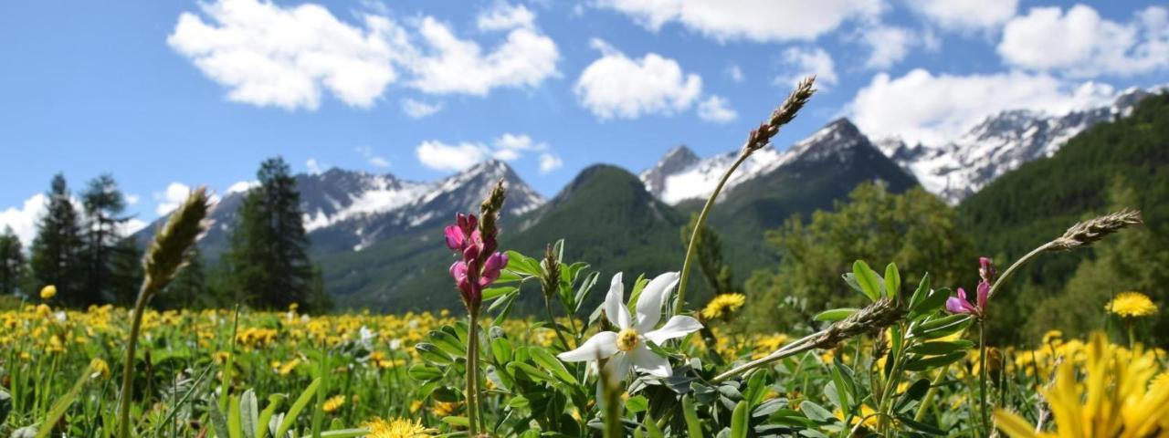 Nice Appt In Briancon Les Charmettes ภายนอก รูปภาพ