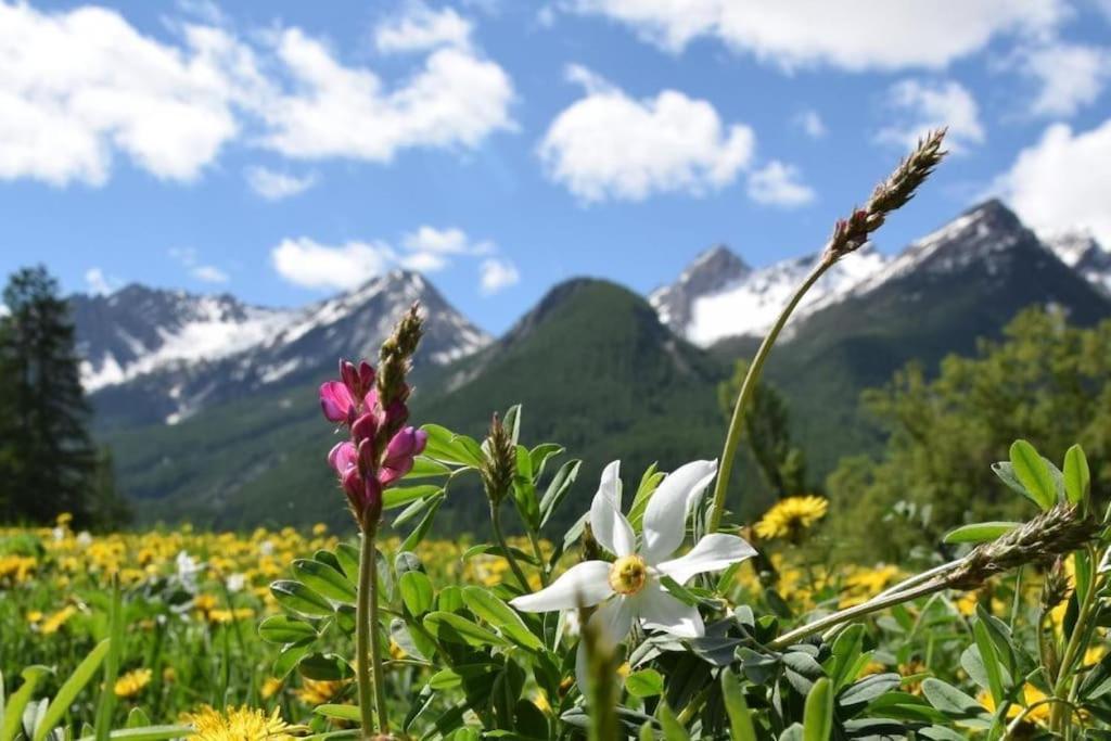Nice Appt In Briancon Les Charmettes ภายนอก รูปภาพ